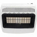 Dyna-Glo 30,000 BTU Infrared Natural Gas Vent-Free Wall Heater