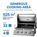 Napoleon Built-In 500 Series 32 - CozeeFlames.com