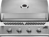 Napoleon Built-In 500 Series 32 - CozeeFlames.com