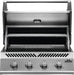 Napoleon Built-In 500 Series 32 - CozeeFlames.com