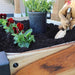 Planter 100% Authentic Teak Wood