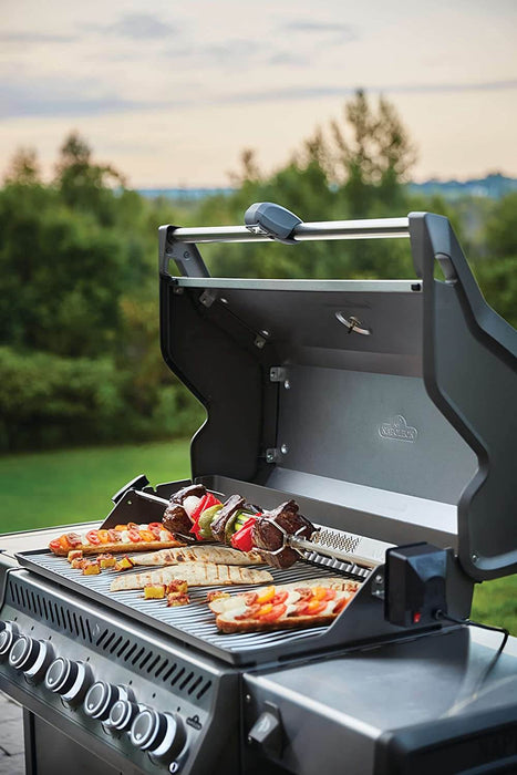 ulæselig færge glimt Napoleon Rogue SE 625 RSIB Freestanding Gas Grill with Infrared Rear & Side  Burners - Stainless Steel | CozeeFlames.com